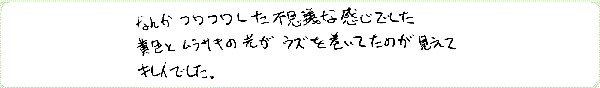 ドラゴンヒーリングのご感想0004