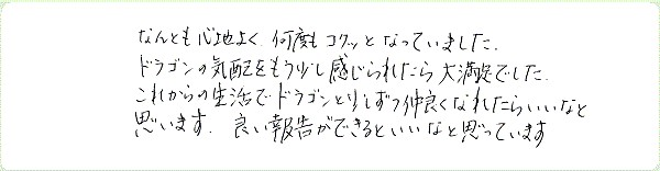 ドラゴンヒーリングのご感想0011