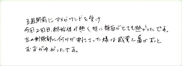 DNAアクティベーションのご感想0037
