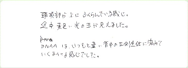 キンソロのご感想0057