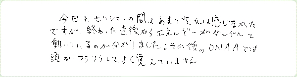 キンソロのご感想0246