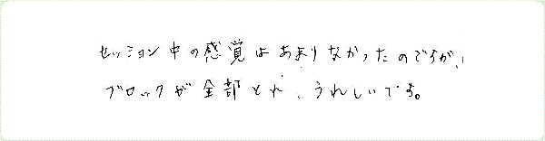 エーテリックサージェリーのご感想0029