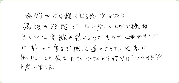 エーテリックサージェリーのご感想0030